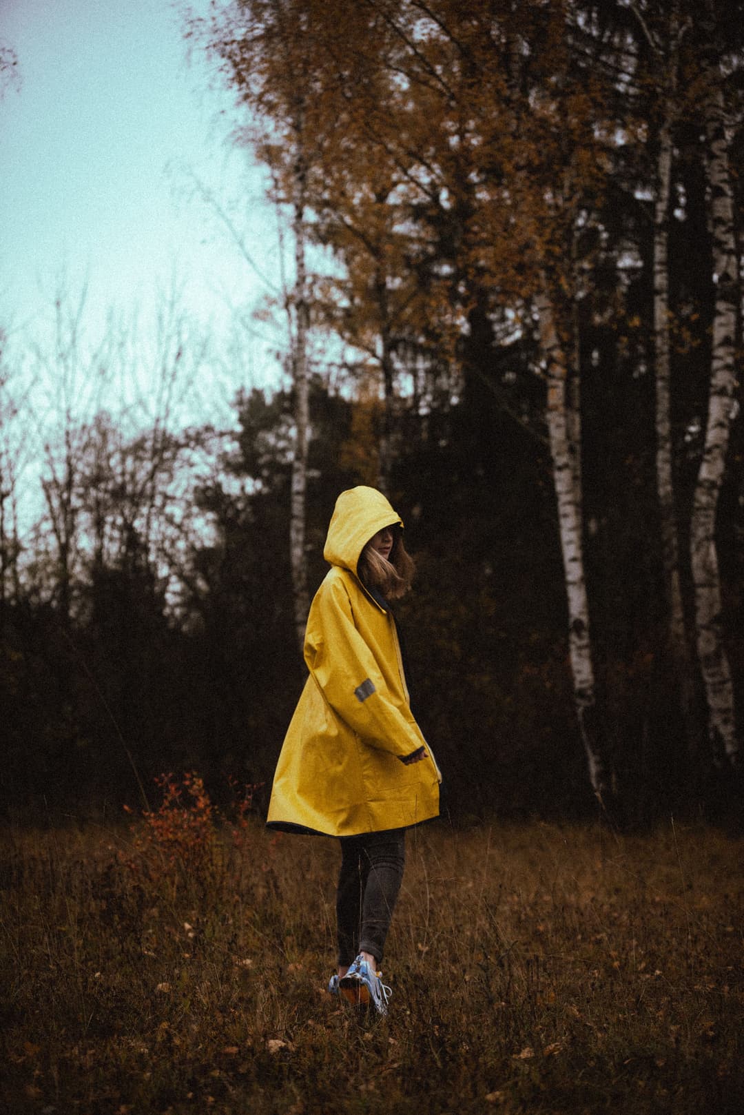 AUTUMN WALK - autumn, available light, bavaria - photograph 1 of 12 by Marco Meyer, 2020