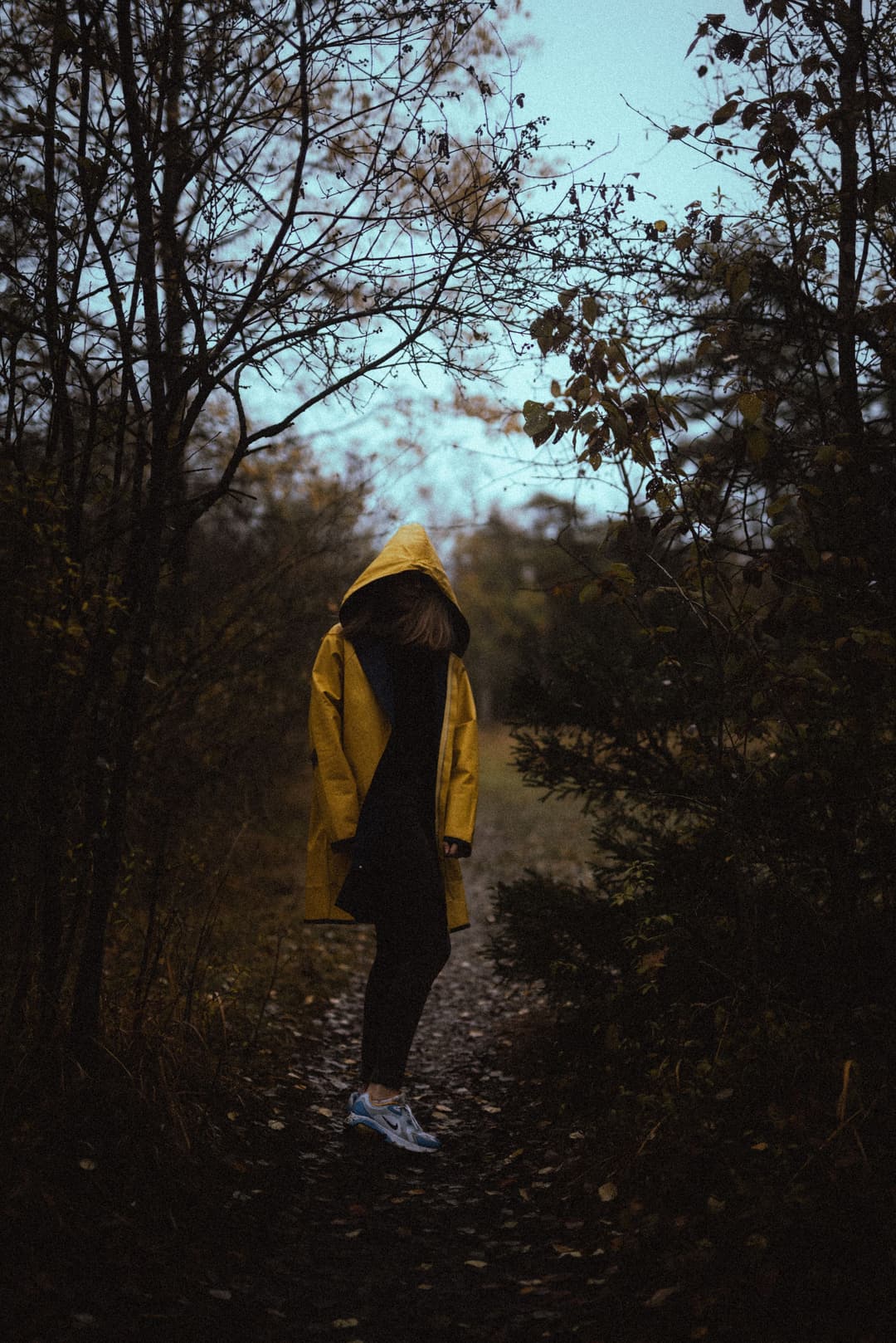 AUTUMN WALK - autumn, available light, bavaria - photograph 8 of 12 by Marco Meyer, 2020