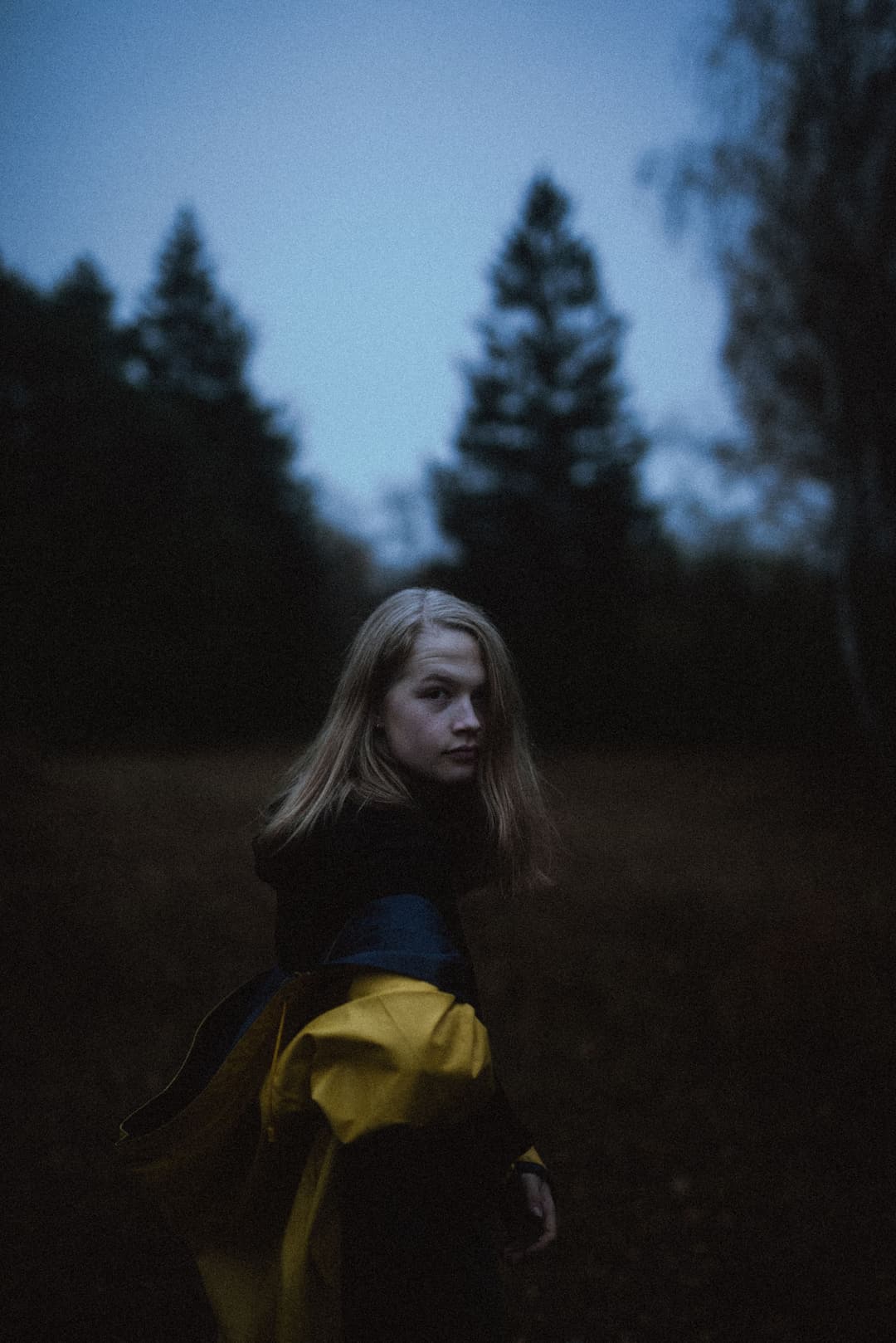 AUTUMN WALK - autumn, available light, bavaria - photograph 11 of 12 by Marco Meyer, 2020