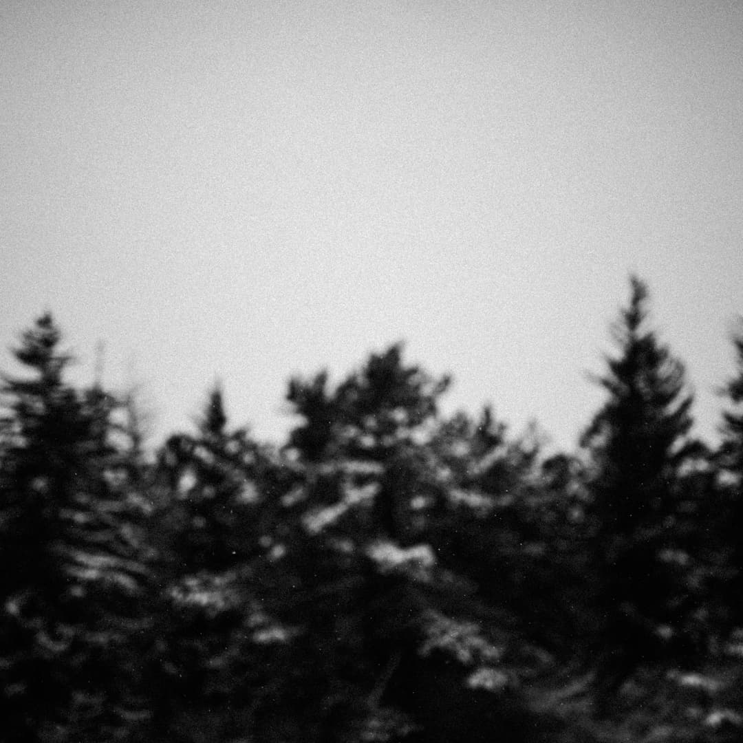 BLACK AND SNOW - b&w, black and white, landscape - photograph 3 of 9 by Marco Meyer, 2023