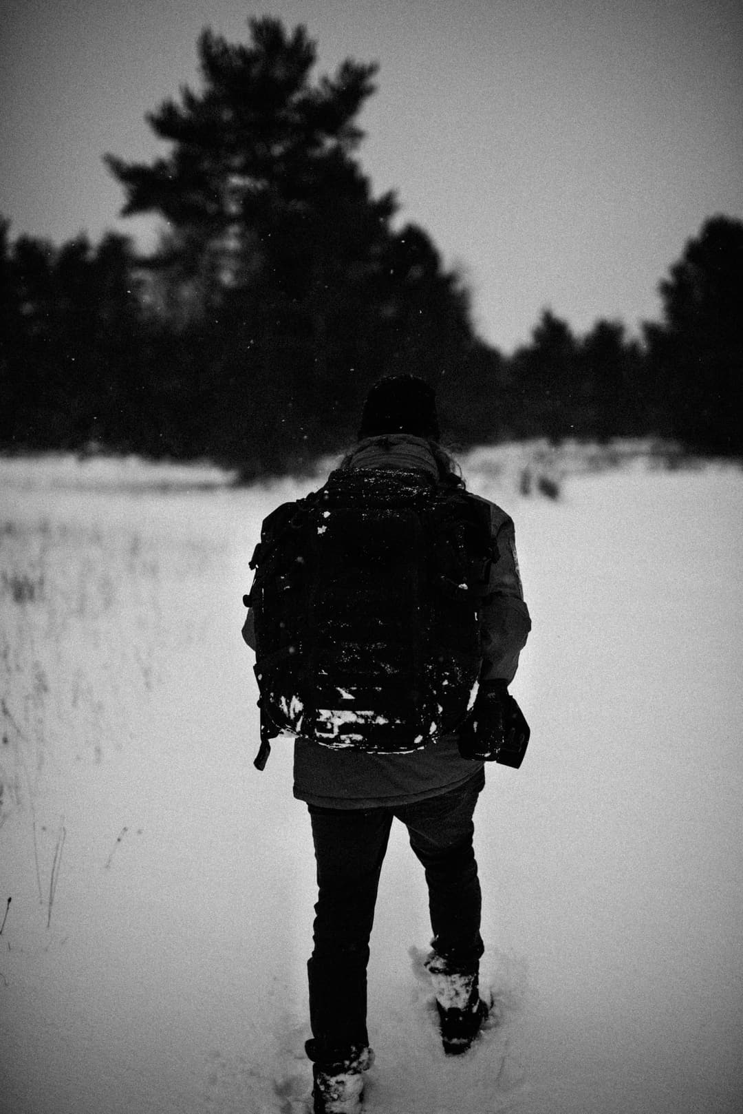 BLACK AND SNOW - b&w, black and white, landscape - photograph 4 of 9 by Marco Meyer, 2023