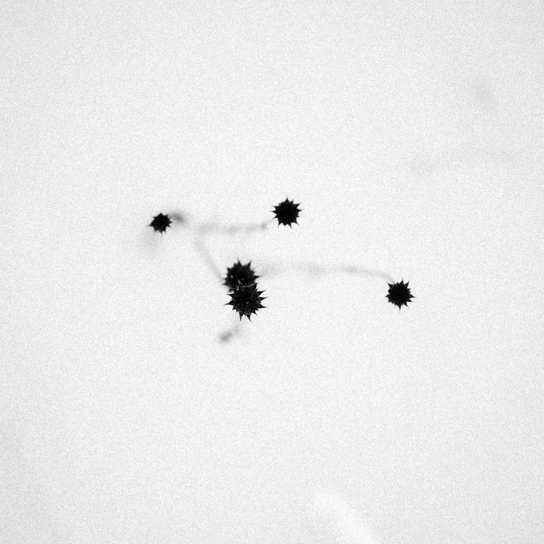 BLACK AND SNOW - b&w, black and white, landscape - photograph 5 of 9 by Marco Meyer, 2023
