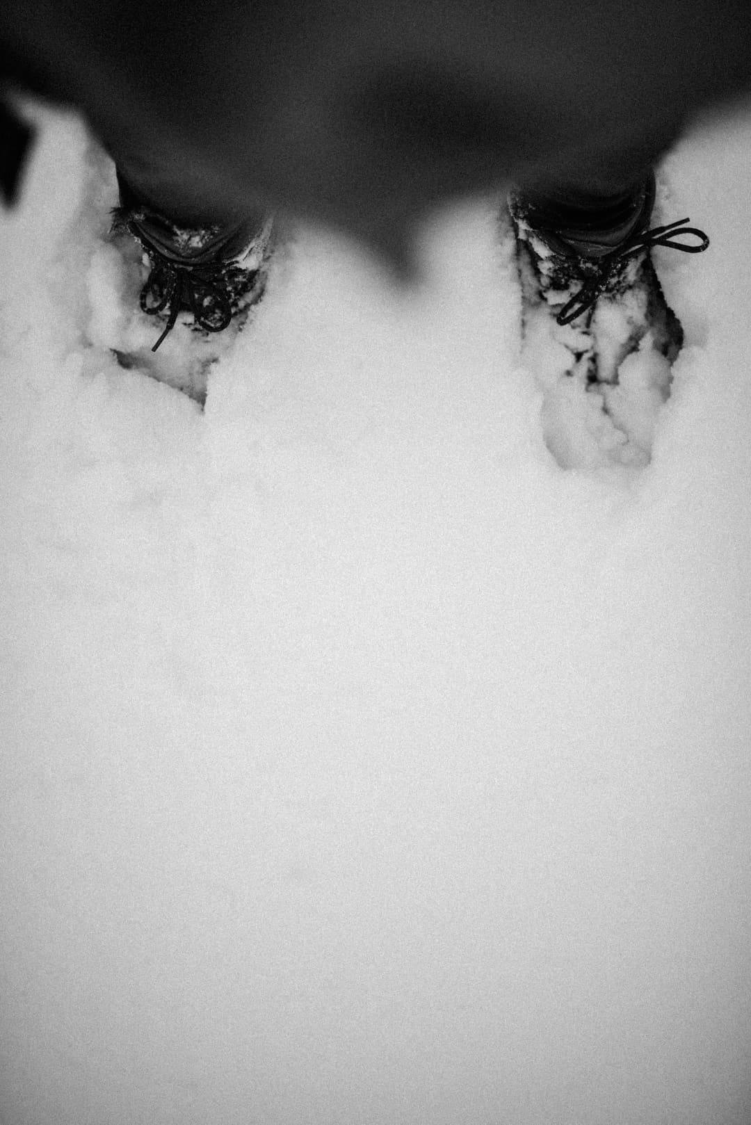 BLACK AND SNOW - b&w, black and white, landscape - photograph 7 of 9 by Marco Meyer, 2023