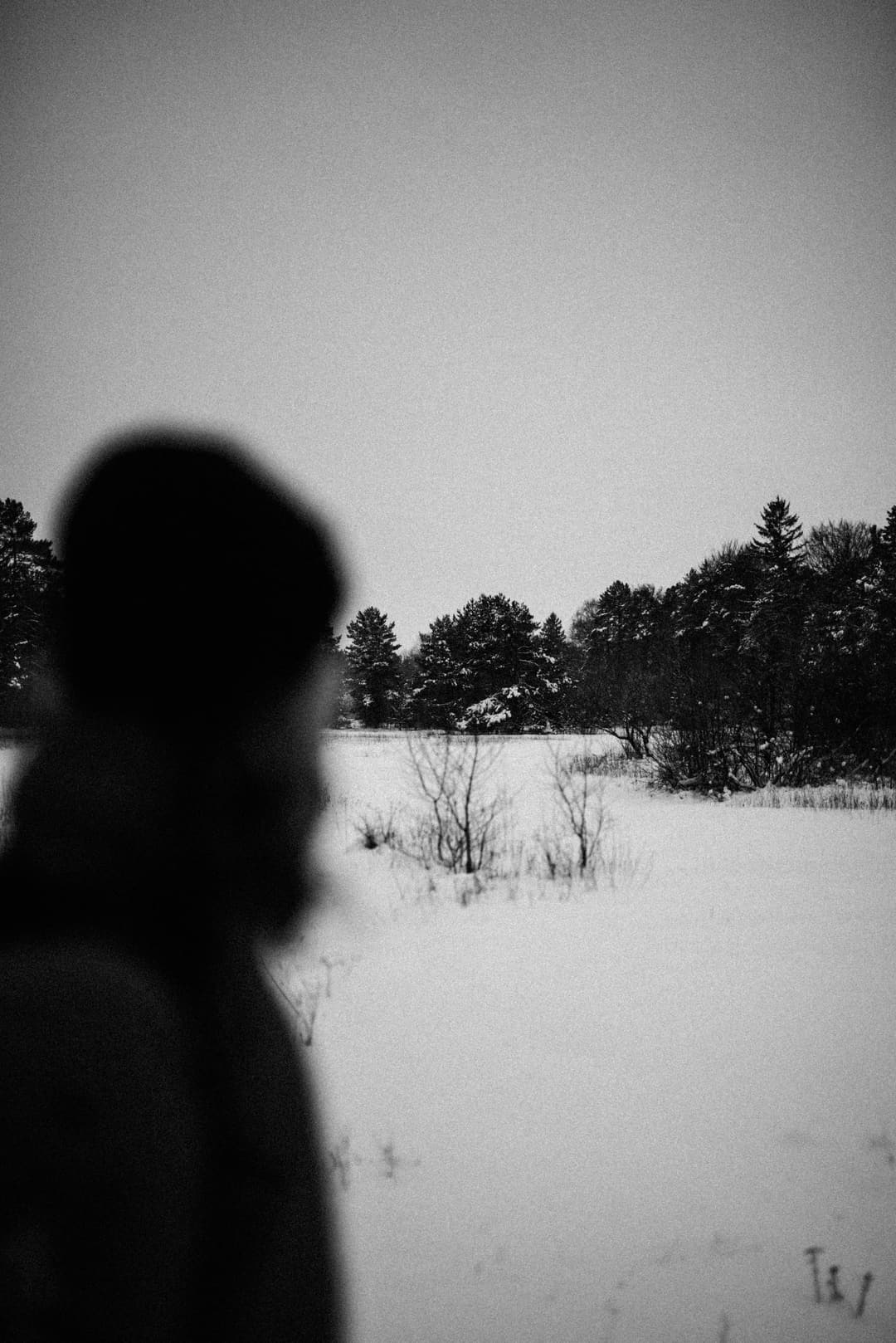 BLACK AND SNOW - b&w, black and white, landscape - photograph 8 of 9 by Marco Meyer, 2023