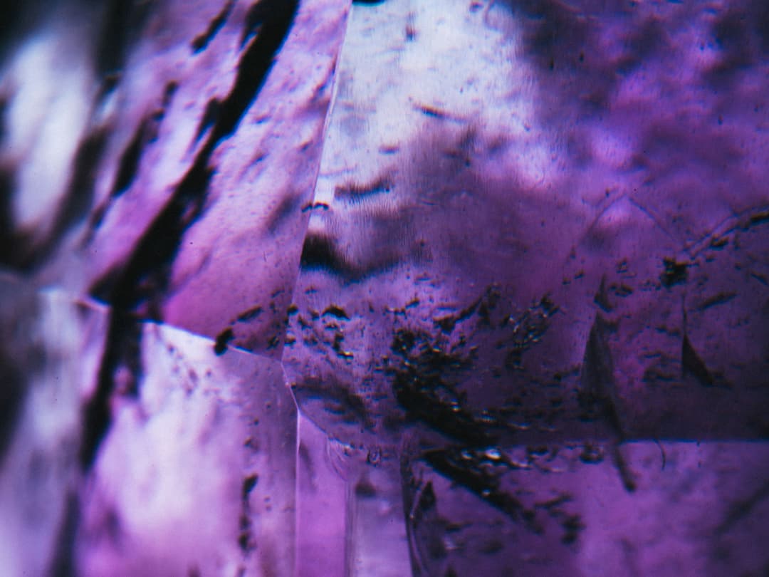 MACRO - fujifilm, lightroom, macro - photograph 2 of 8 by Marco Meyer, 2022