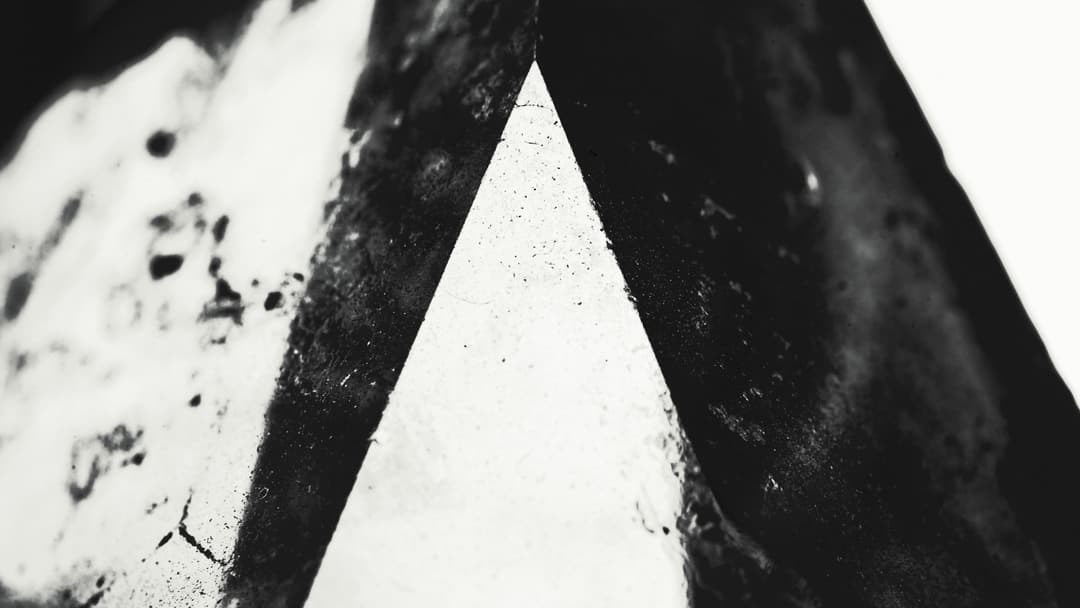 MACRO - fujifilm, lightroom, macro - photograph 3 of 8 by Marco Meyer, 2022