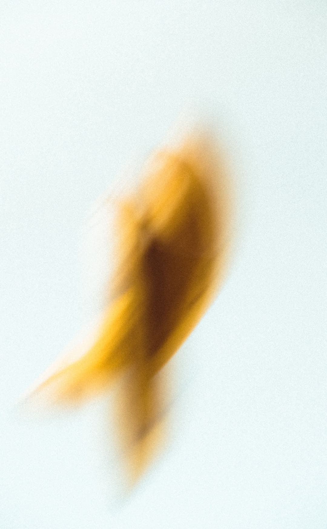 MOTION - art, blur, fine - photograph 1 of 6 by Marco Meyer, 2021