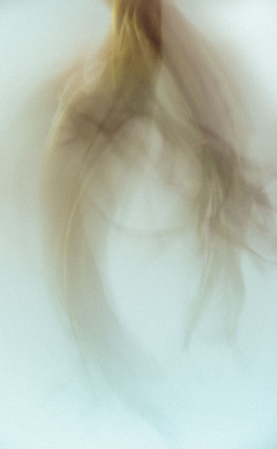 MOTION - art, blur, fine - photograph 5 of 6 by Marco Meyer, 2021