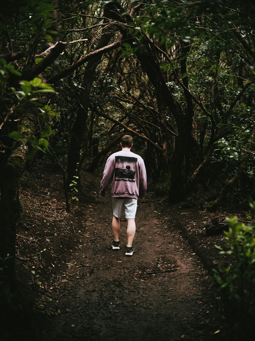 WALK THROUGH THE WOODS - adventure, forest, fujifilm - photograph 9 of 9 by Marco Meyer, 2022